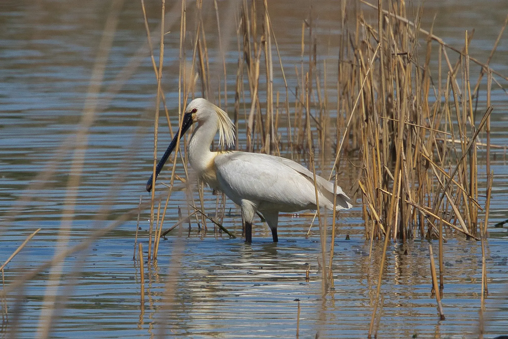 Escursione guidata