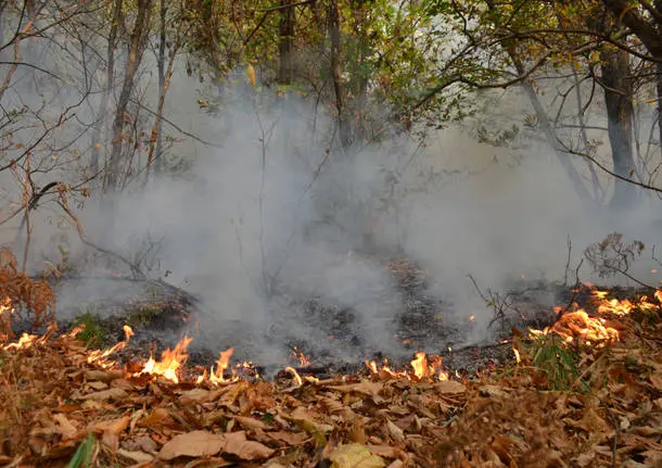 Attivazione fase attenzione per incendi boschivi